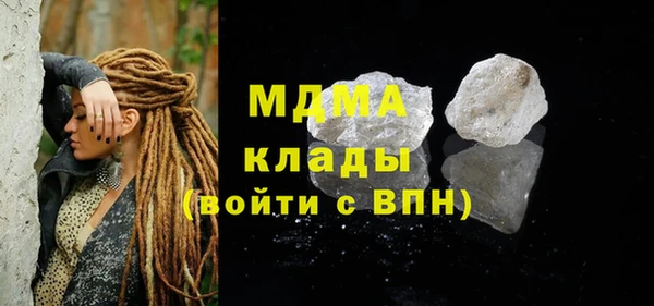 гашик Алексин