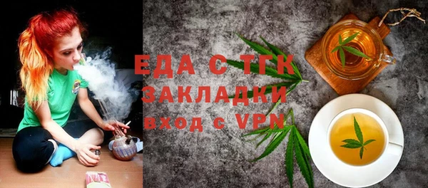 гашик Алексин