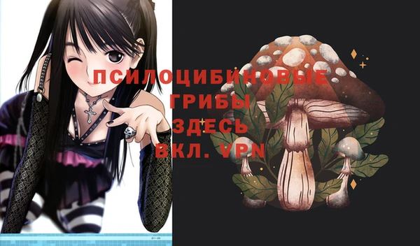 шишки Алзамай
