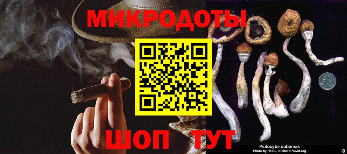 Псилоцибиновые грибы Cubensis Изобильный